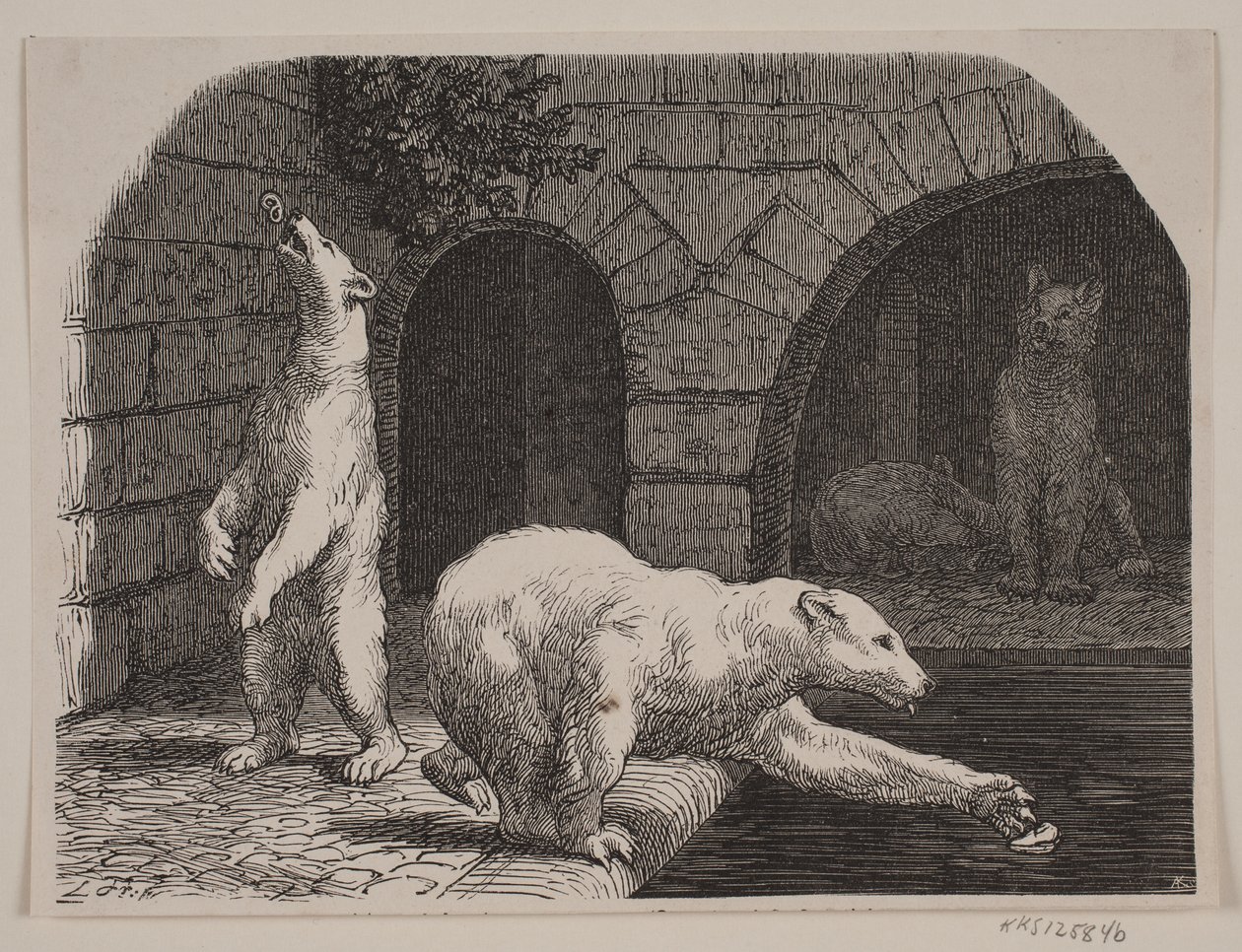 Beren in Jardin des Plantes door Axel Theodor Kittendorff