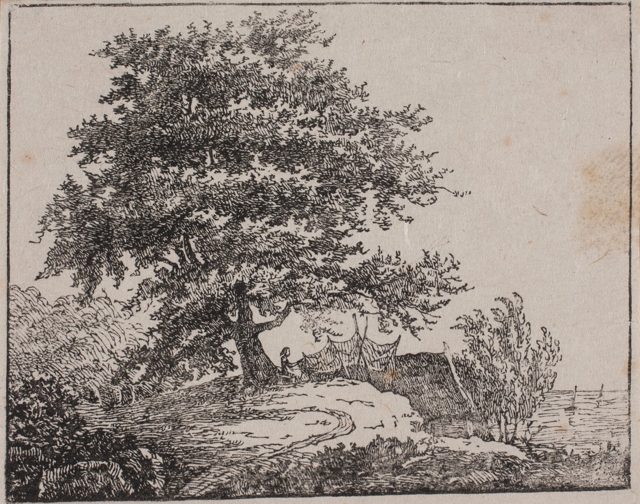 Boom op een helling bij de zee door Axel Theodor Kittendorff