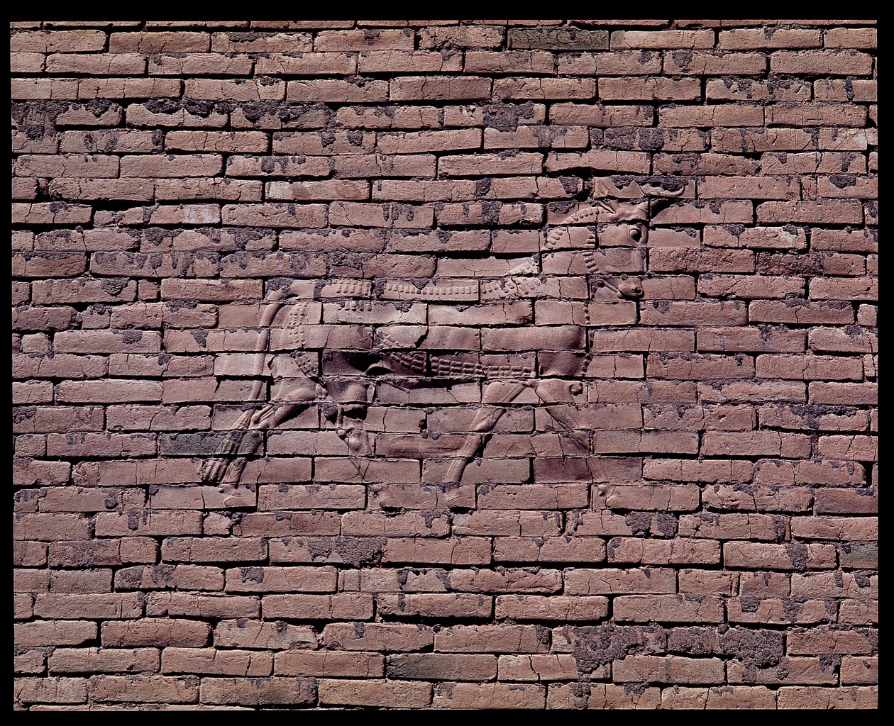Detail van een stier (reliëf van de Ishtarpoort) door Babylonian