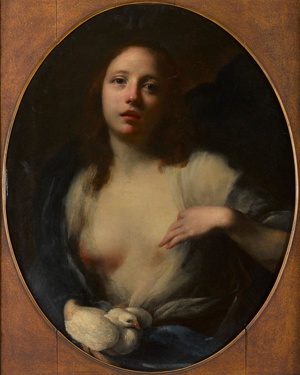 Schilderij van een jong meisje met witte duif door Baldassare (1611 89) Franceschini