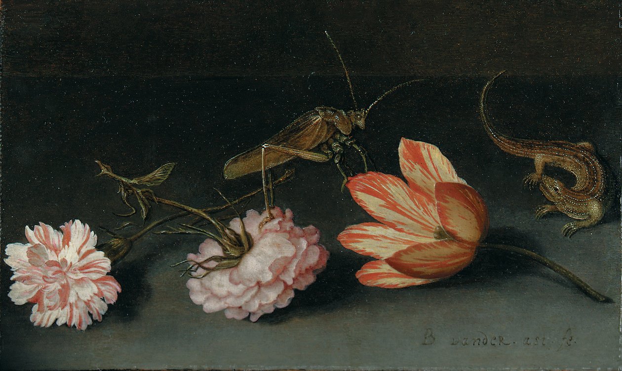 Anjers, een papegaaitulp, een sprinkhaan en een hagedis op een richel door Balthasar van der Ast