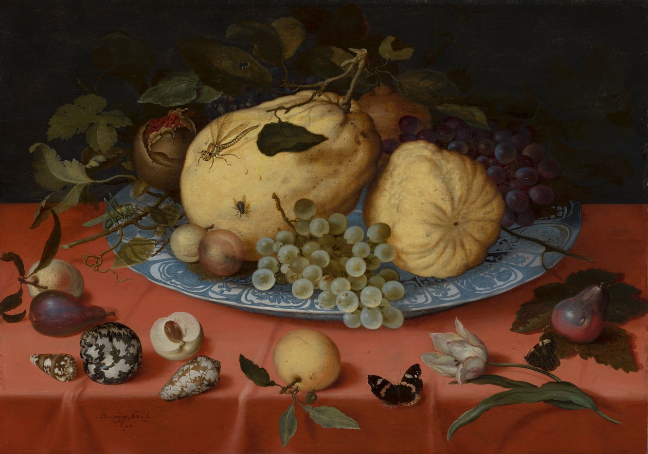 Fruitstilleven met schelpen en tulp door Balthasar van der Ast