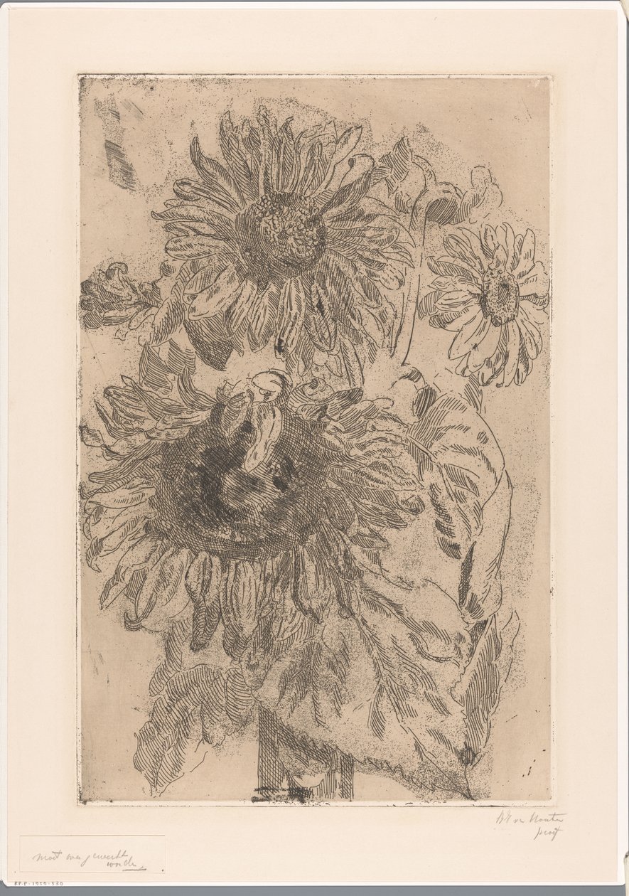 Drie zonnebloemen in een vaas door Barbara Elisabeth van Houten (signed by artist)
