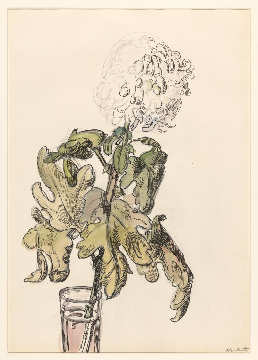 Bloeiende chrysant, in een vaasje door Barbara Elisabeth van Houten