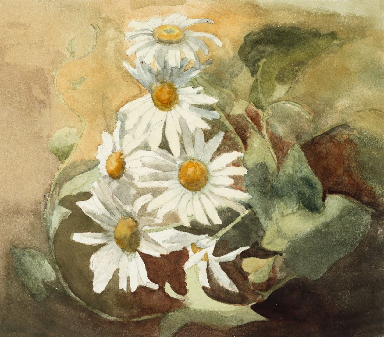 Madeliefjes door Barbara Leigh Smith Bodichon