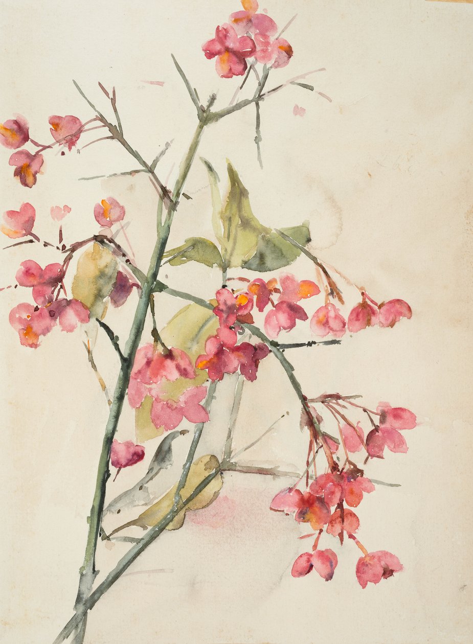 Roze bloemen door Barbara Leigh Smith Bodichon
