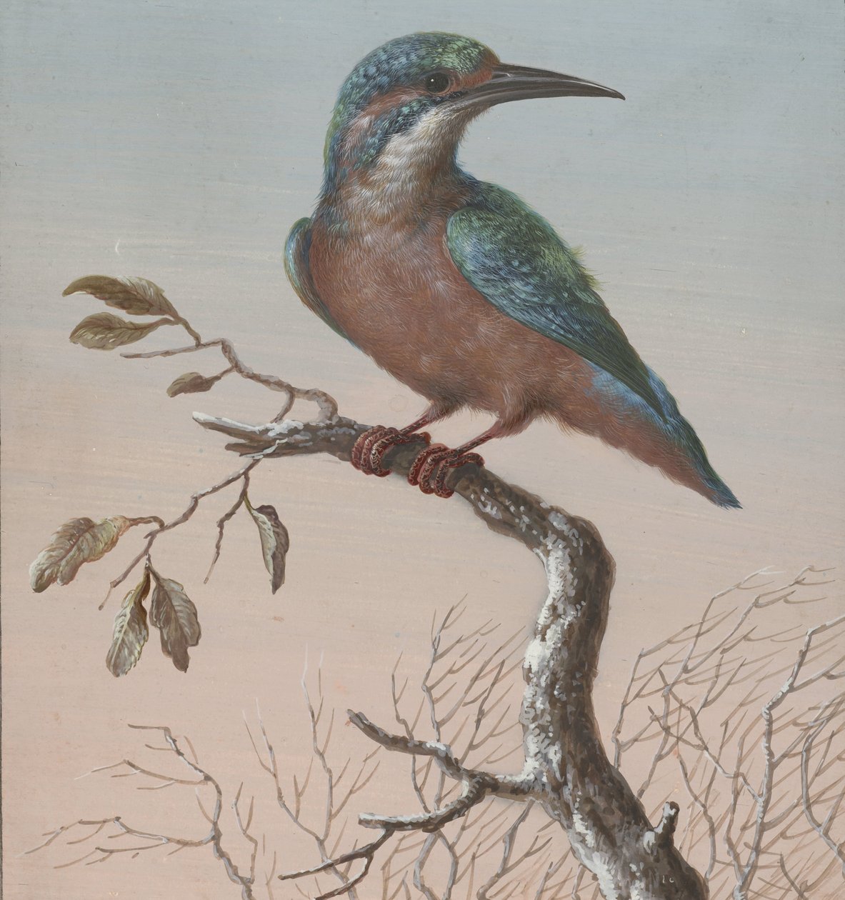 IJsvogel (Vier gouaches van vogels) door Barbara Regina Dietzsch