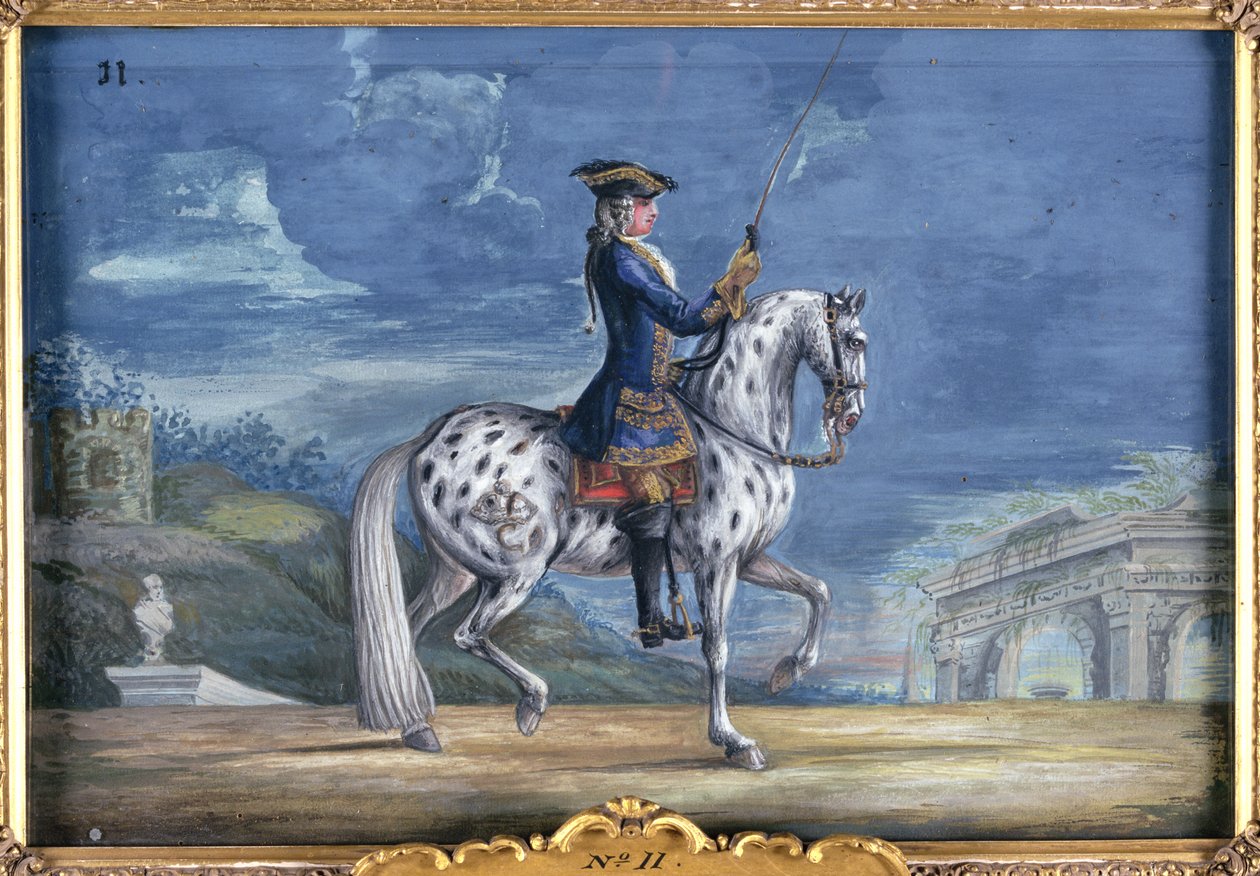 Nr. 11 Een appaloosa paard van de Spaanse Rijschool, van de Keizerlijke stoeterij in Bohemen door Baron Reis Eisenberg