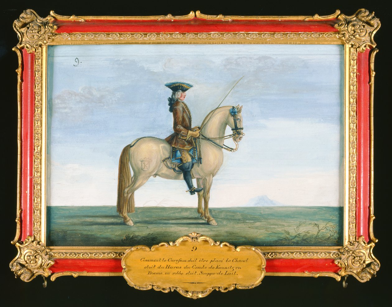 Nr. 9 Een grijs paard van de Spaanse Rijschool, uit de stoeterij van de graaf van Kaunitz in Bohemen door Baron Reis Eisenberg