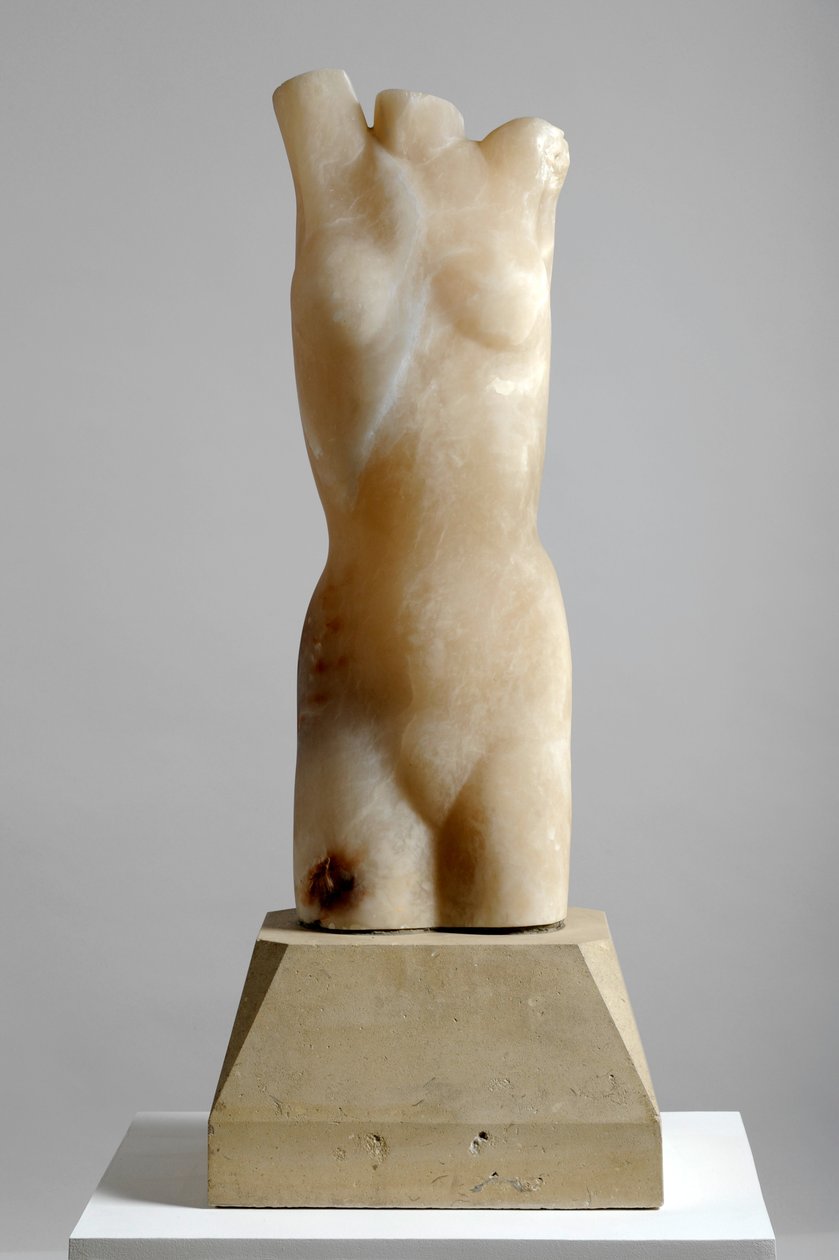 Torso door Barry Hart