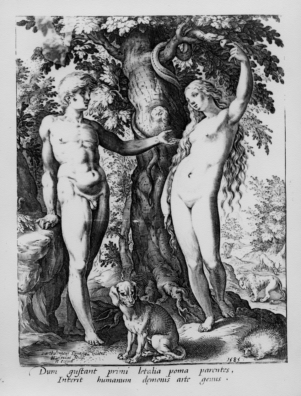 Adam en Eva, gegraveerd door Hendrik Goltzius, 1585 door Bartholomaeus Spranger
