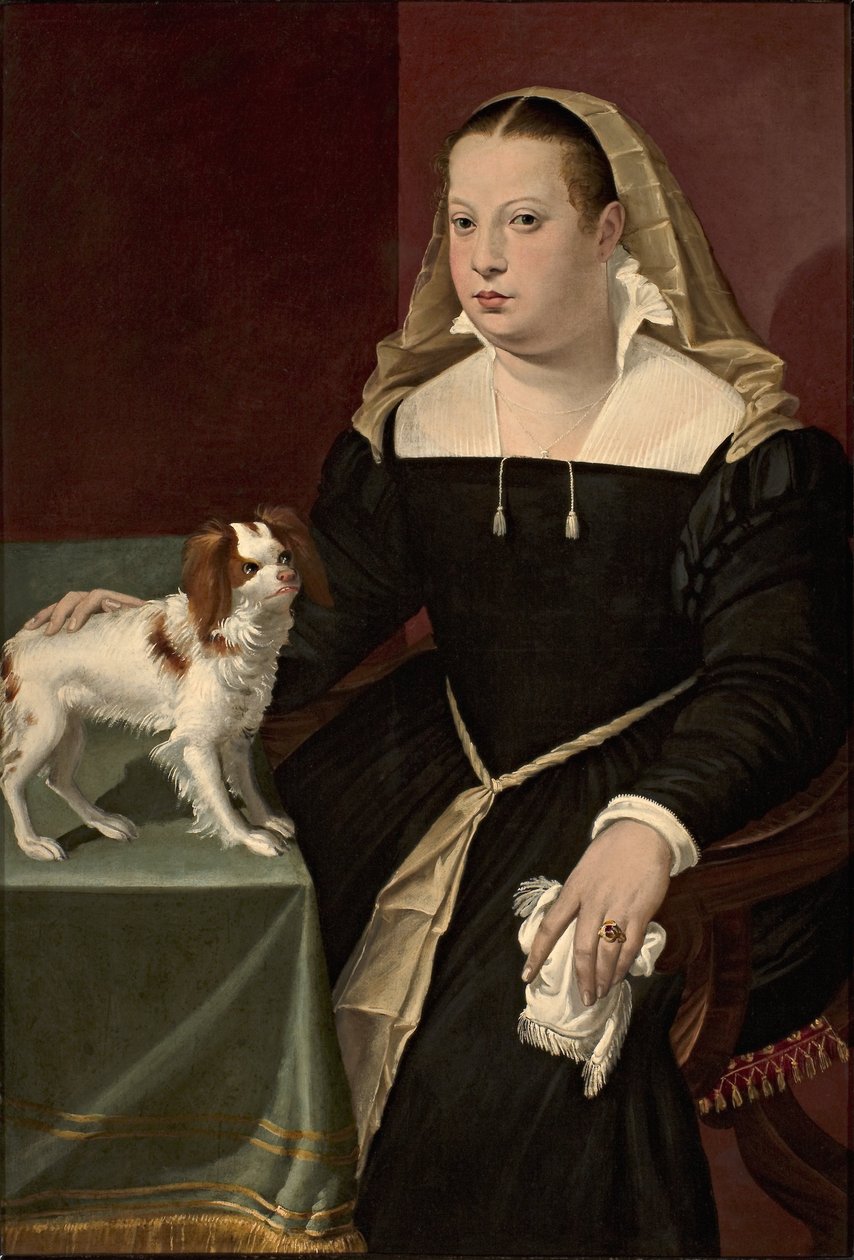 Portret van een dame met een hondje door Bartolomeo Passarotti