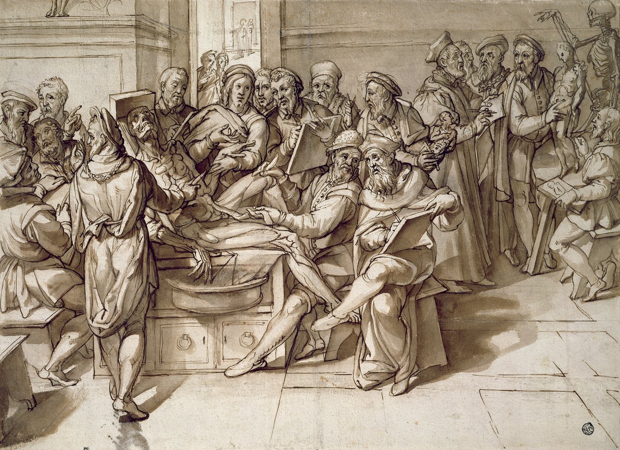 De Anatomieles door Bartolomeo Passarotti