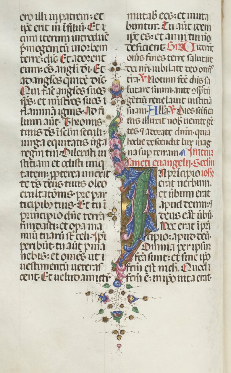 Missale: Fol. 22v: Bladornament met vis door Bartolomeo Caporali