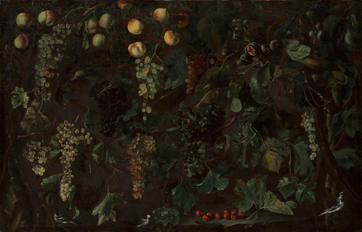 Druivenranken en fruit, met drie kwikstaarten, ca. 1615-18 door Bartolomeo Cavarozzi