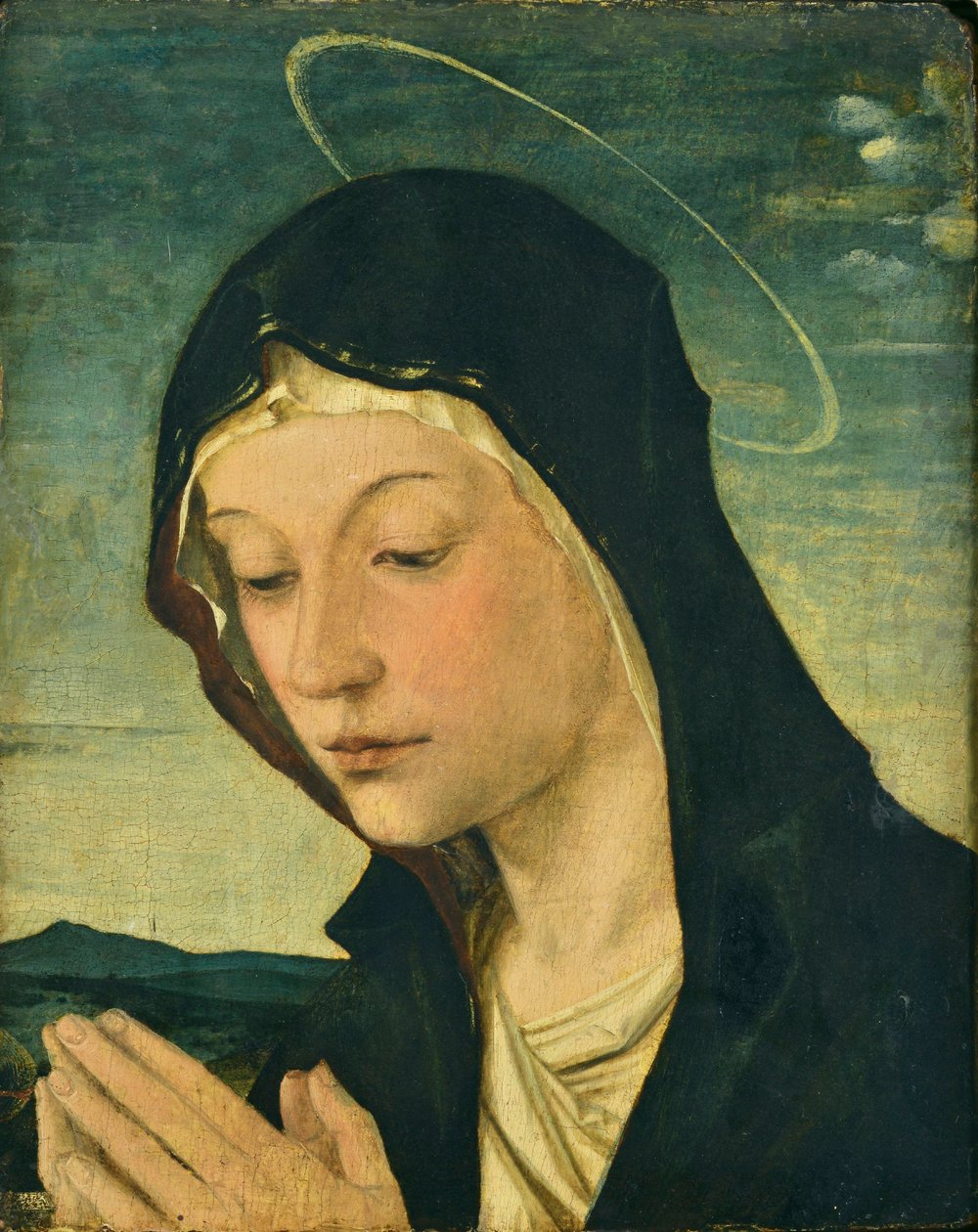 Hoofd en handen van een aanbiddende Madonna (Fragment), ca.1477-78 (tempera op populierenhout) door Bartolomeo Montagna