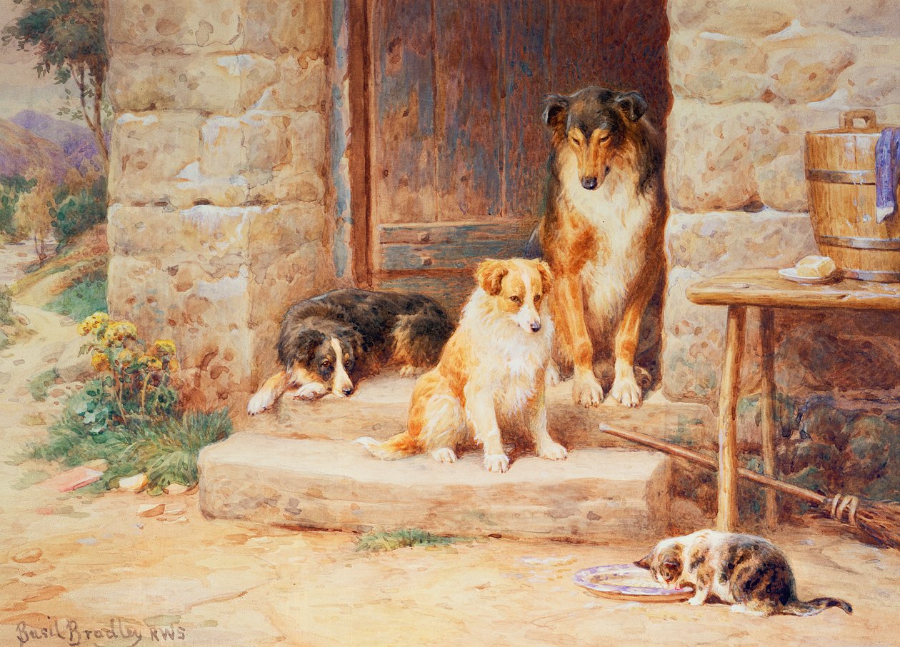 Leven en laten leven door Basil Bradley