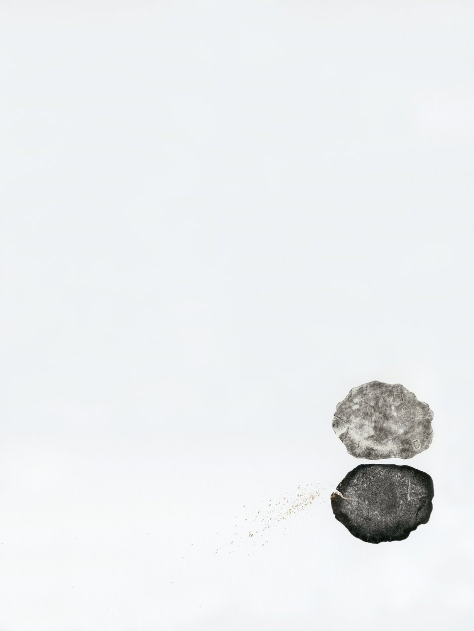 Reflectie, 2014 door Bella Larsson