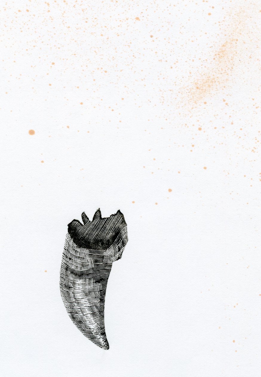 Tand {Fay-erie Dust}, 2014 door Bella Larsson