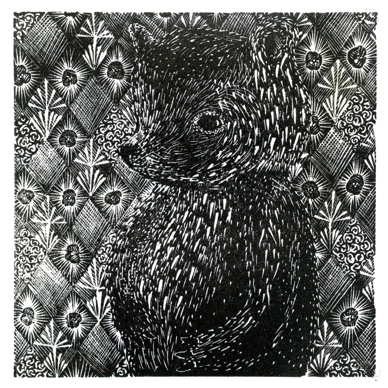 Ursus arctos ssp. domesticus, 2013 door Bella Larsson