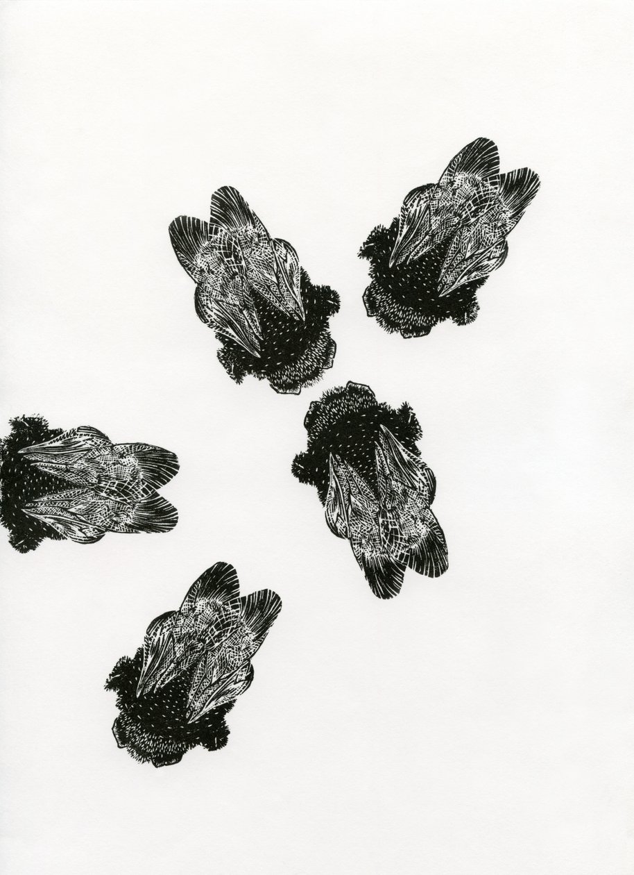 Bijenvergadering, 2013 door Bella Larsson