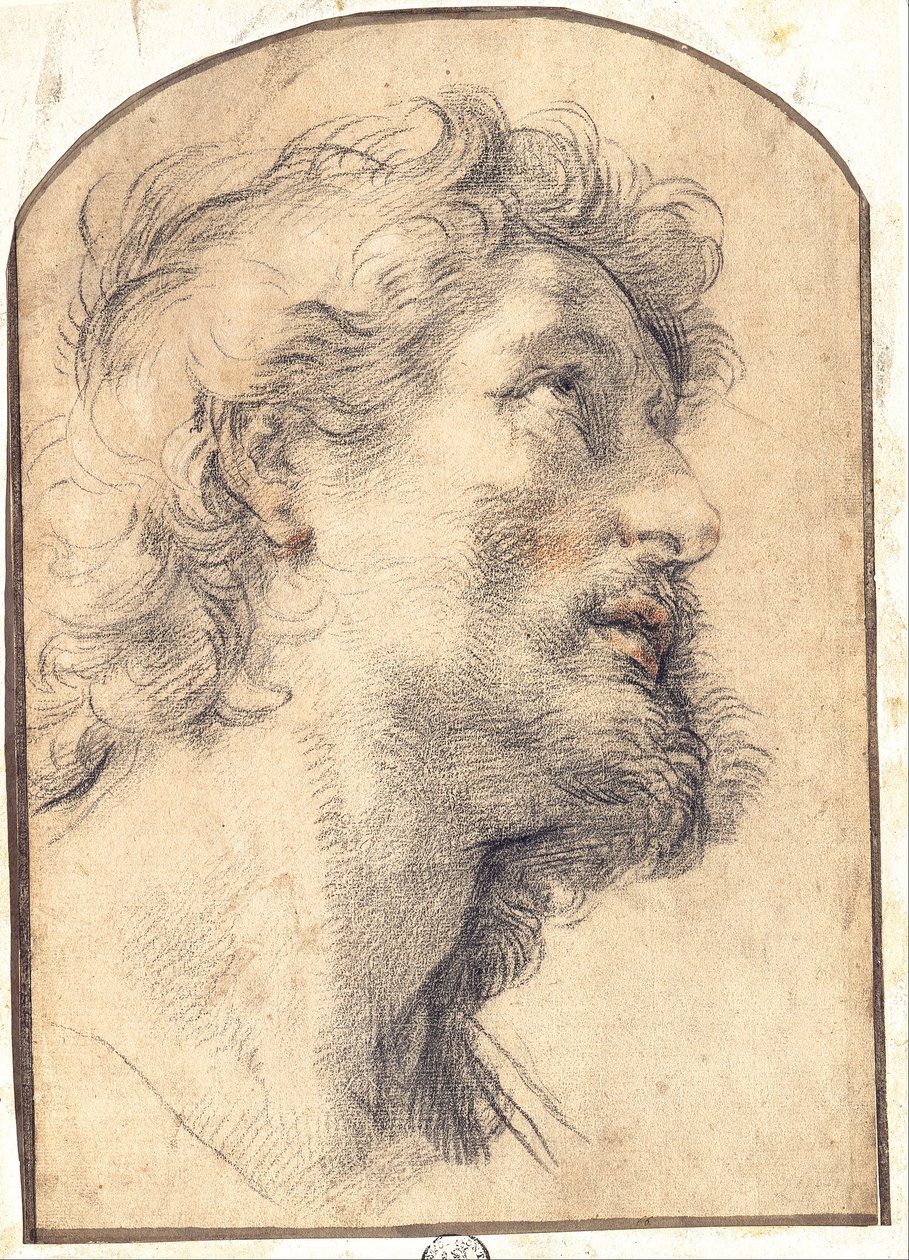 Studie van het Hoofd van Sint Crispin door Benedetto Luti