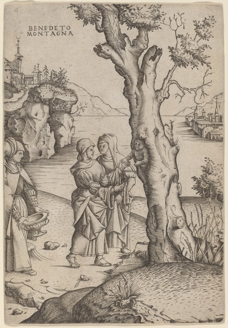 Geboorte van Adonis door Benedetto Montagna