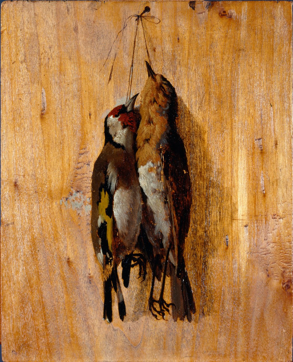 Studie naar de natuur Twee dode vogels vastgepind aan de muur door Benedetto Musso