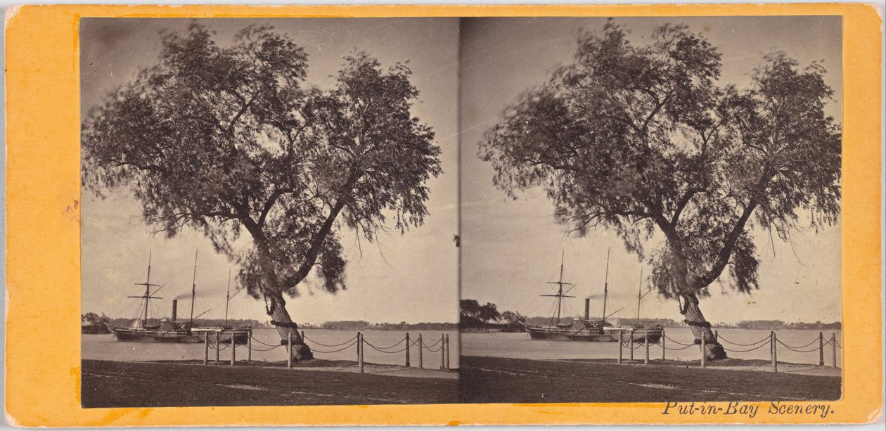 Wilgenboom. Geplant door Com. Perry en andere overlevenden van de slag bij Lake Erie, om de begraafplaats van de gesneuvelden te markeren. door Benedict