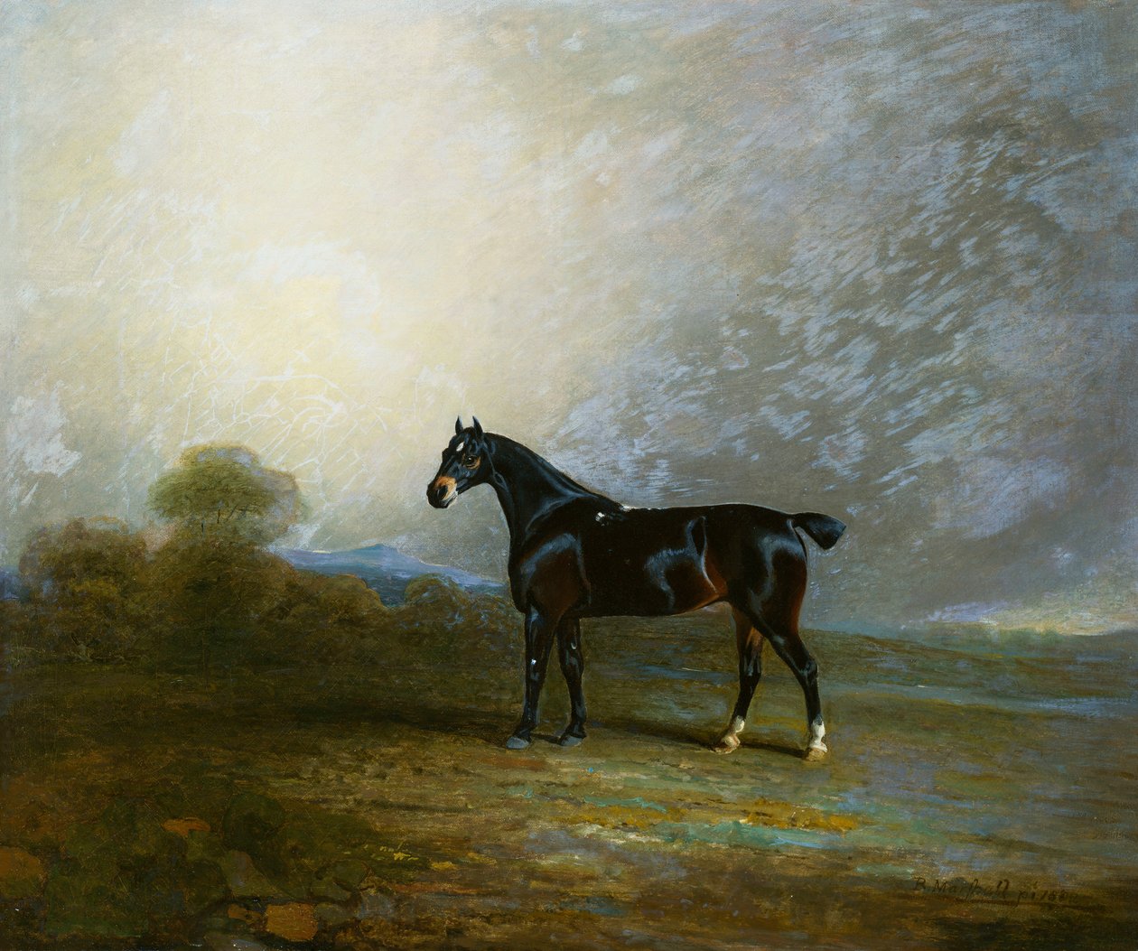 Bembo, een favoriete jager van Charles Shuttleworth, Esq., 1802 door Benjamin Marshall