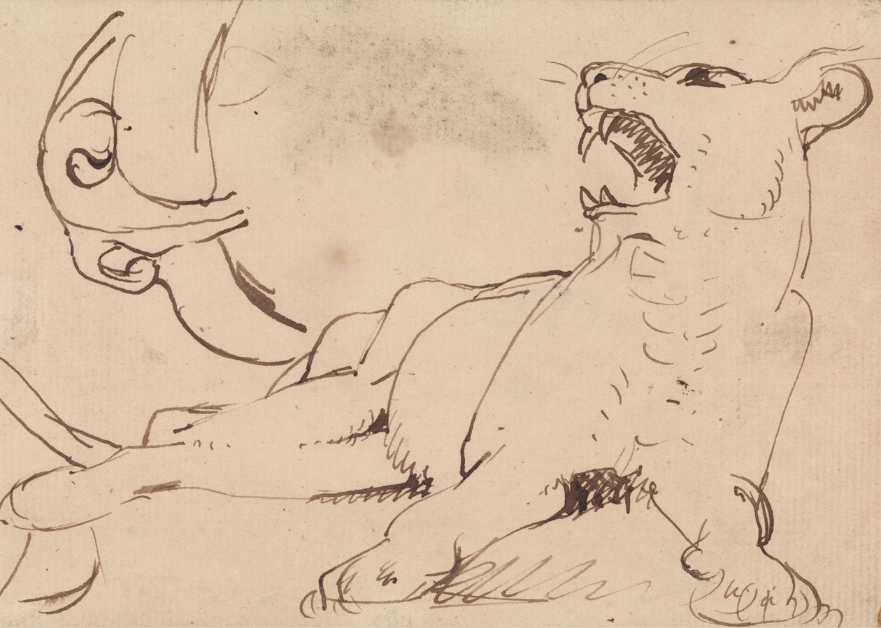 Studie van een Leeuwin door Benjamin Robert Haydon