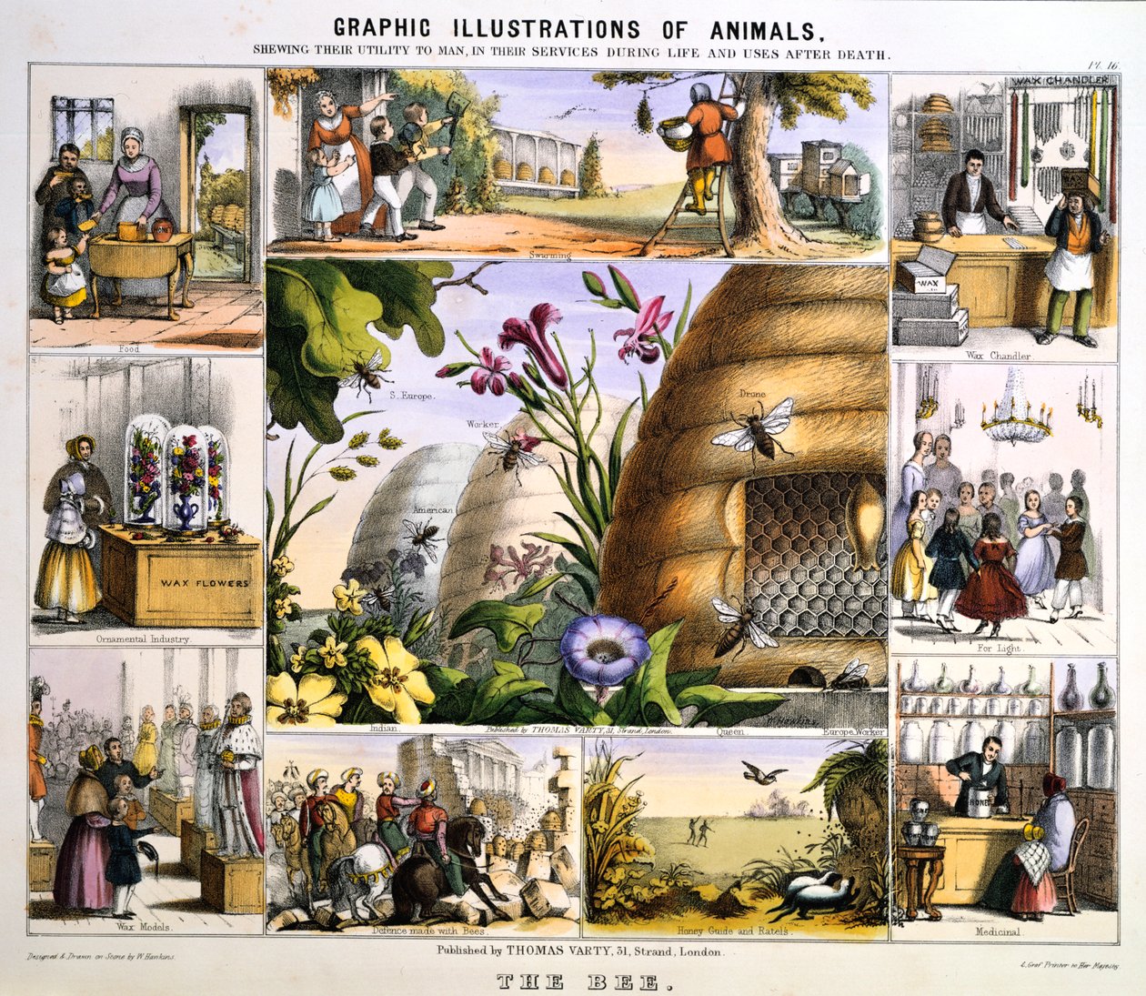 De bij, ca. 1850 door Benjamin Waterhouse Hawkins