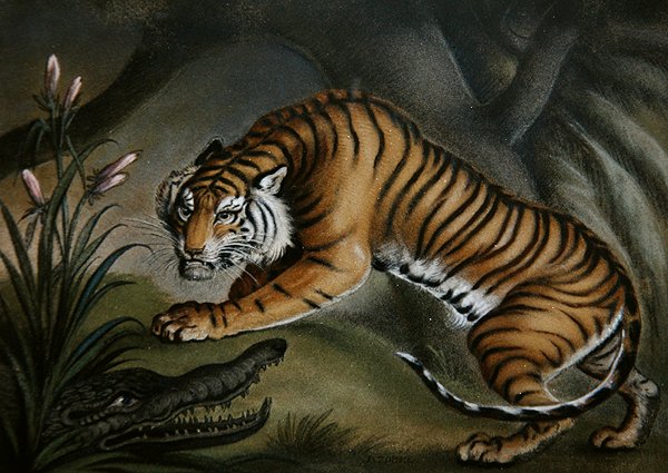 Tijger en krokodil, ca. 1810 (zandbeeld op bord) door Benjamin Zobel