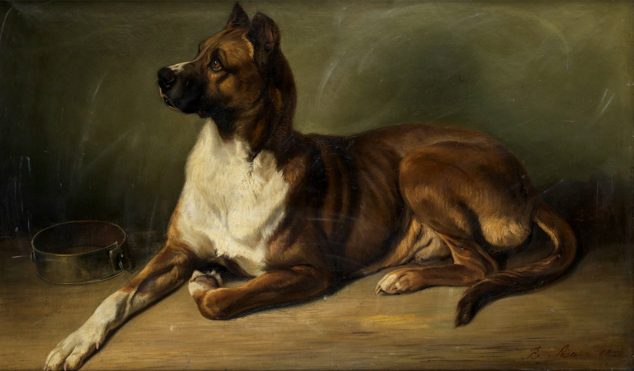 Benno Adam Portret van een hond 1852 door Benno Adam