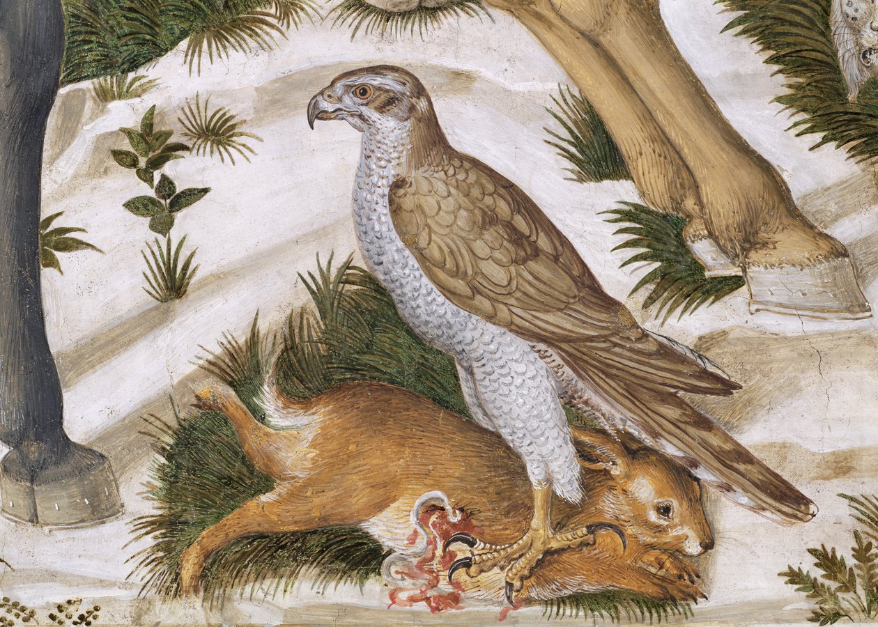 Valk met gevangen konijn, detail van de Reis van de Wijzen cyclus in de kapel, ca. 1460 (detail) door Benozzo di Lese di Sandro Gozzoli