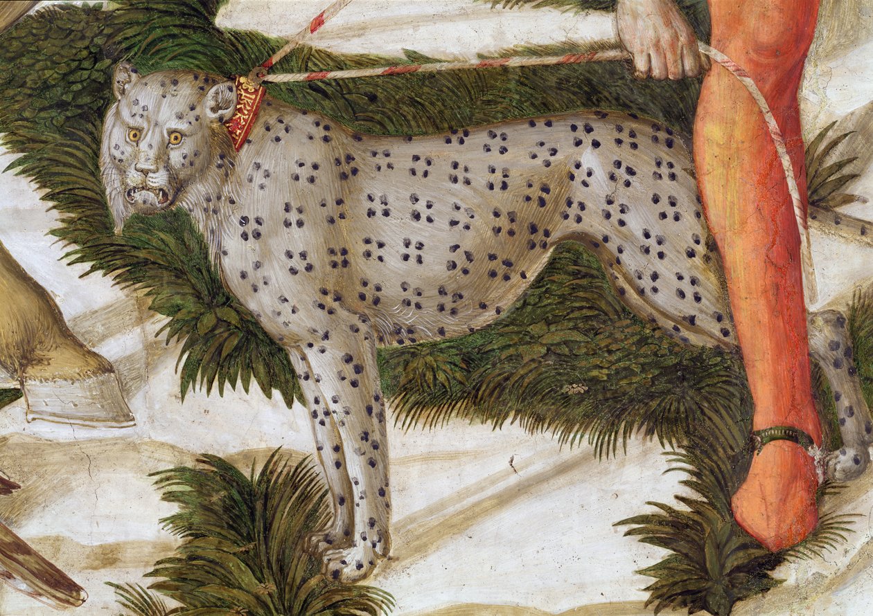 Luipaard aan een riem, detail van de Reis van de Wijzen cyclus in de kapel, ca. 1460 (detail) door Benozzo di Lese di Sandro Gozzoli