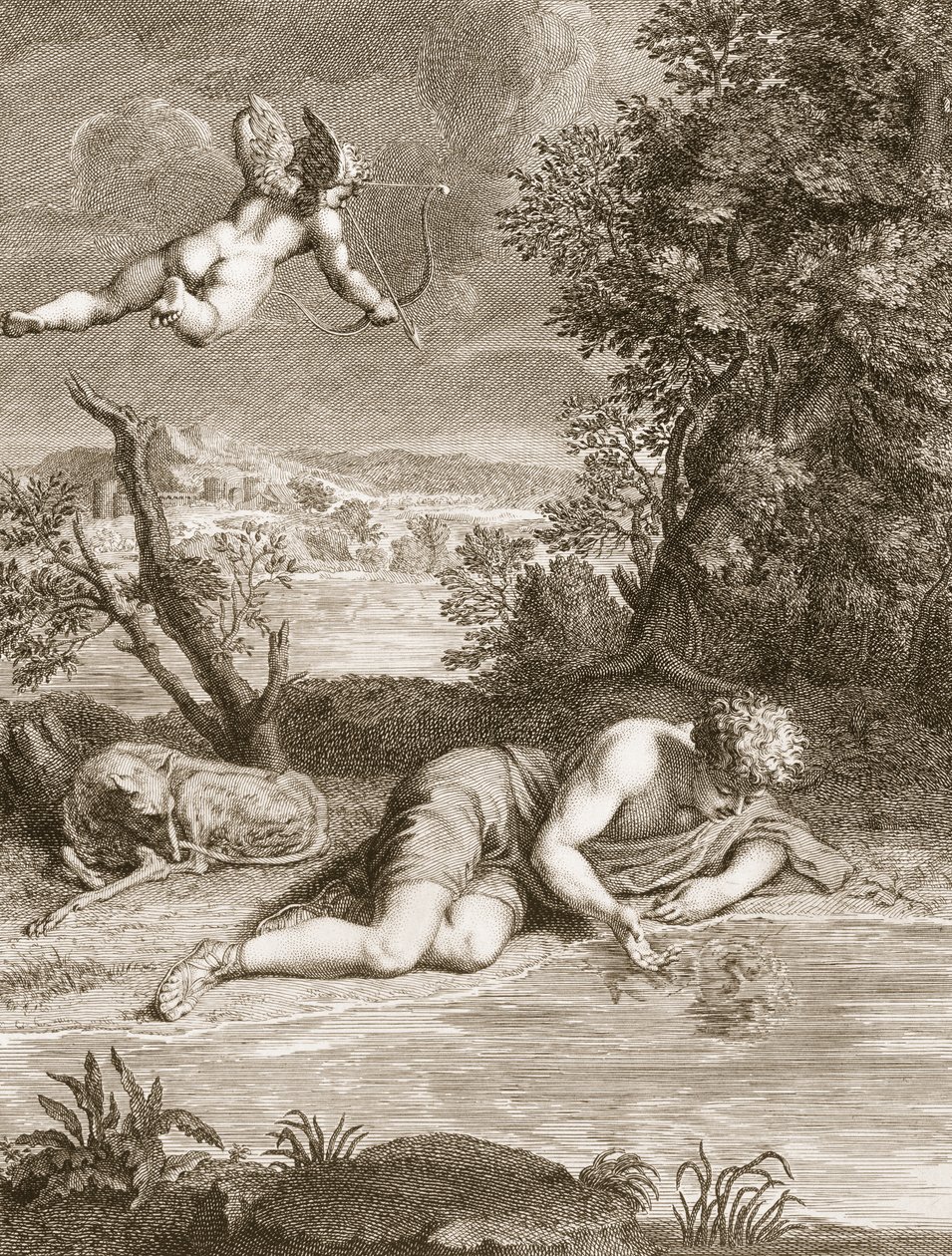 Narcissus Veranderd in een Bloem, 1730 door Bernard Picart