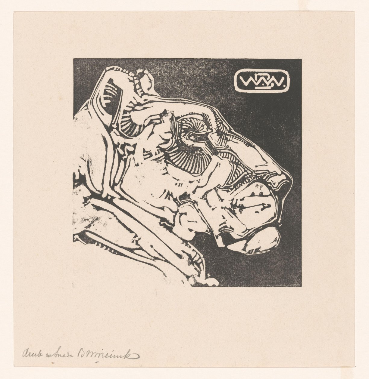 Kop van een leeuwin door Bernard Willem Wierink (signed by artist)