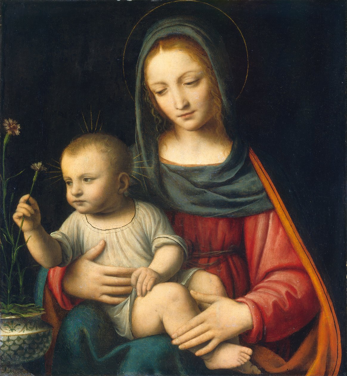 De Madonna van de anjer, ca. 1515 door Bernardino Luini