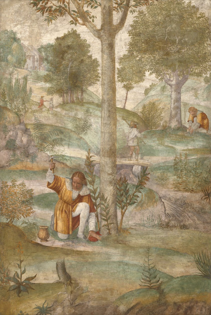 Cephalus verbergt de juwelen door Bernardino Luini
