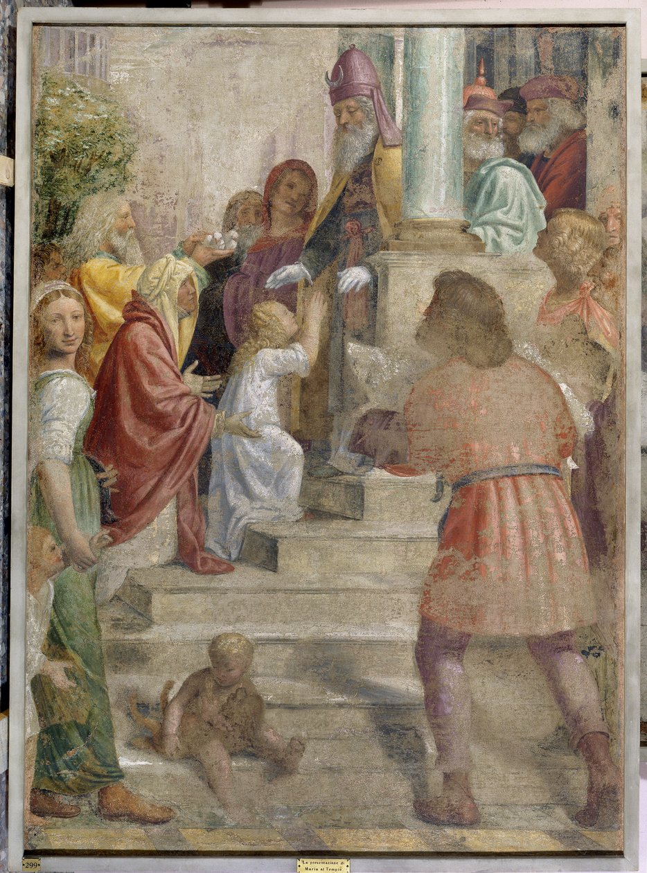 Presentatie van Maria in de Tempel door Bernardino Luini