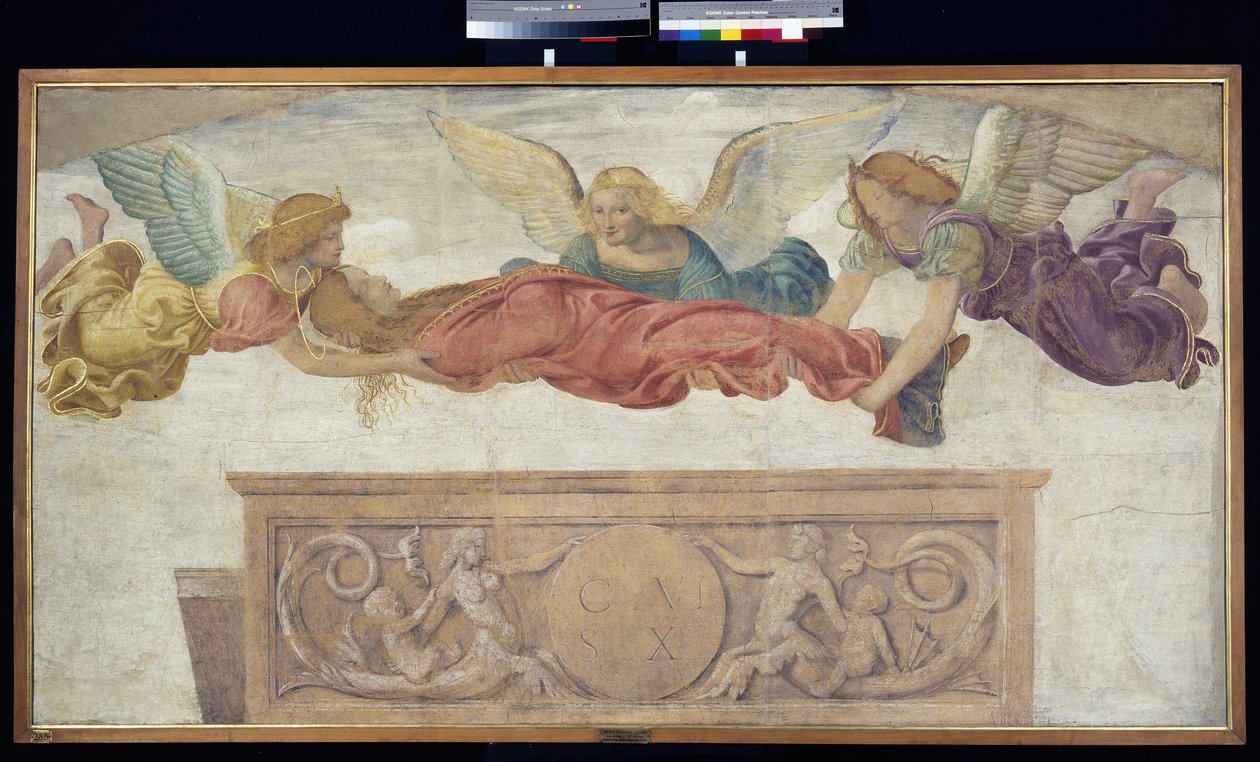 Het lichaam van St. Catharina gedragen door engelen, c.1514 (losgemaakte fresco op paneel) door Bernardino Luini