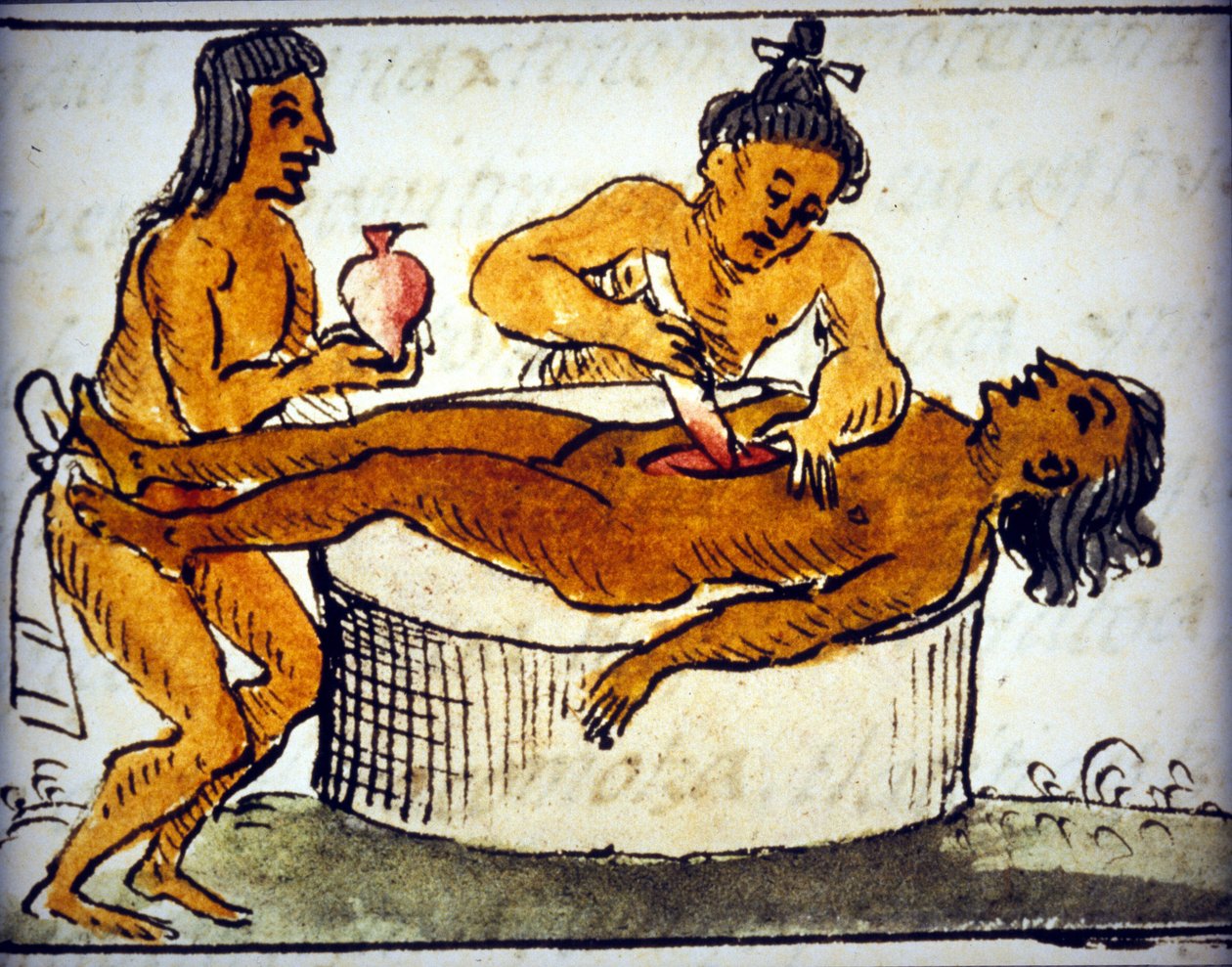 Menselijke offerande: rituele offerande bij de Azteken. Uit een manuscript van Bernardino de Sahagun door Bernardino de Sahagun