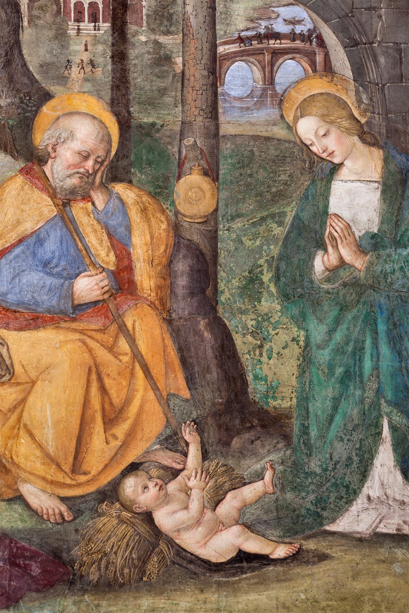 Aanbidding van de herders (detail) Fresco door Pinturicchio (Bernardino di Betto) (1454-1513) 1484-1492 (Kerk van Santa Maria del Popolo), Basiliek van Santa Maria del Popolo, Cappella Basso della Rovere, Rome, Italië door Bernardino di Betto Pinturicchio