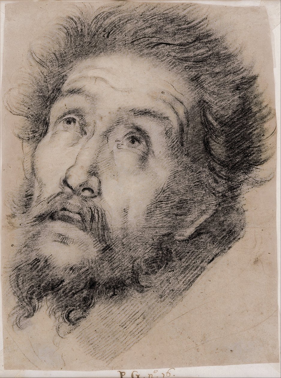 Studie voor Sint-Franciscus van Assisi die het Kruis aanbidt door Bernardo Strozzi