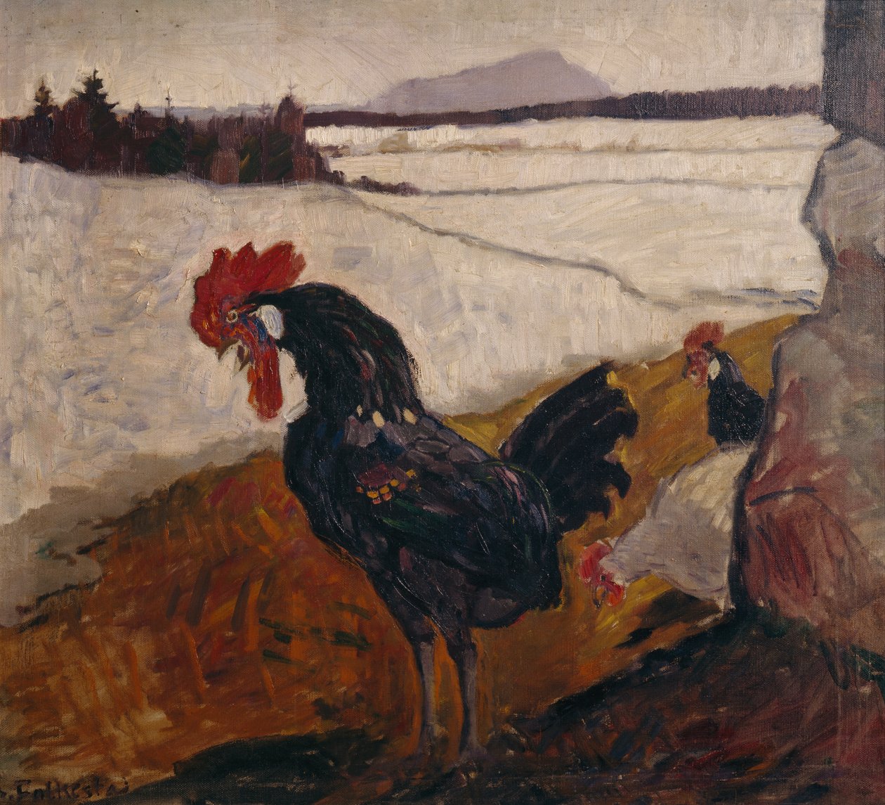Rooster door Bernhard Dorotheus Folkestad