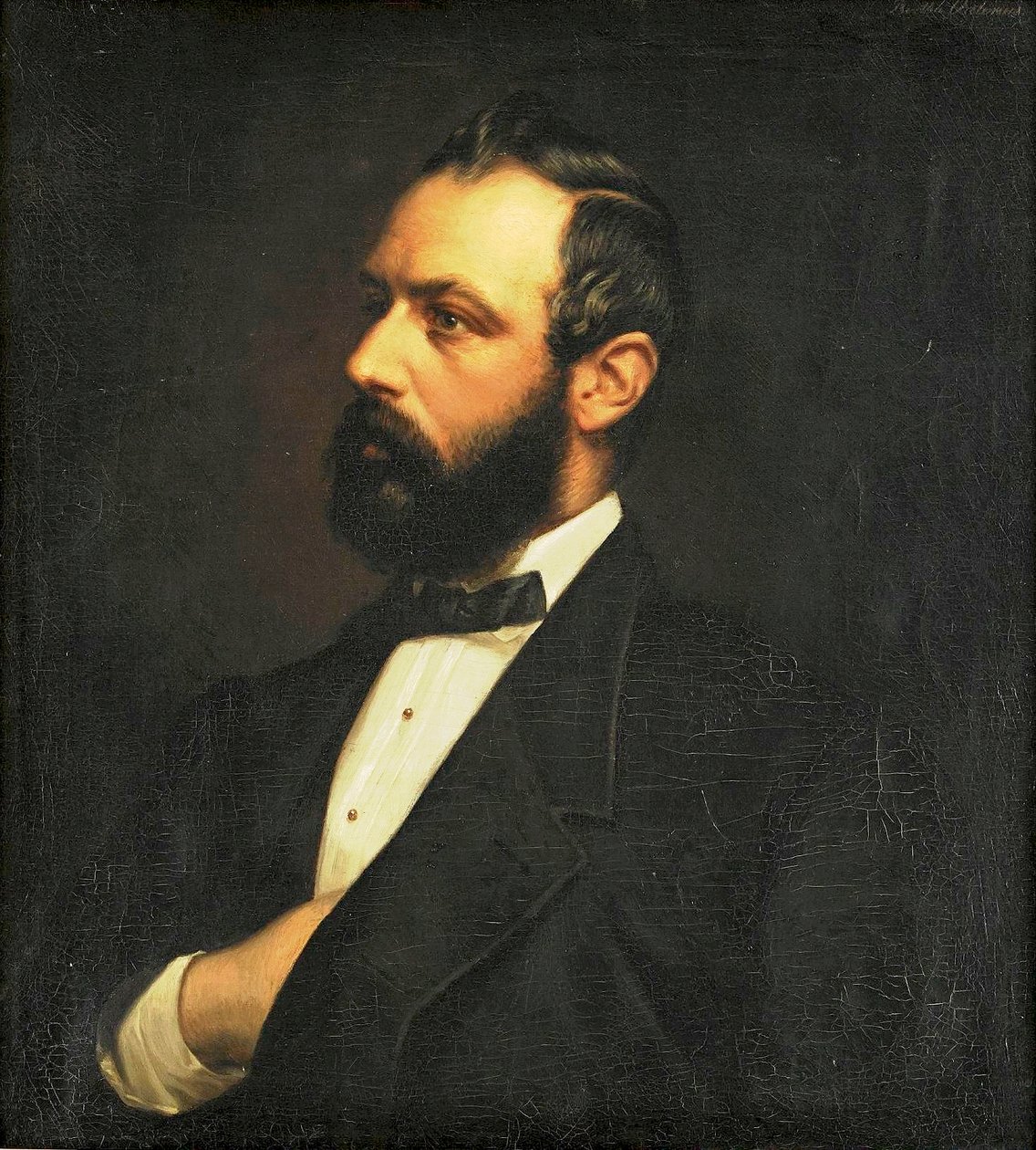 Portret van Karl XV door Bertha Valerius