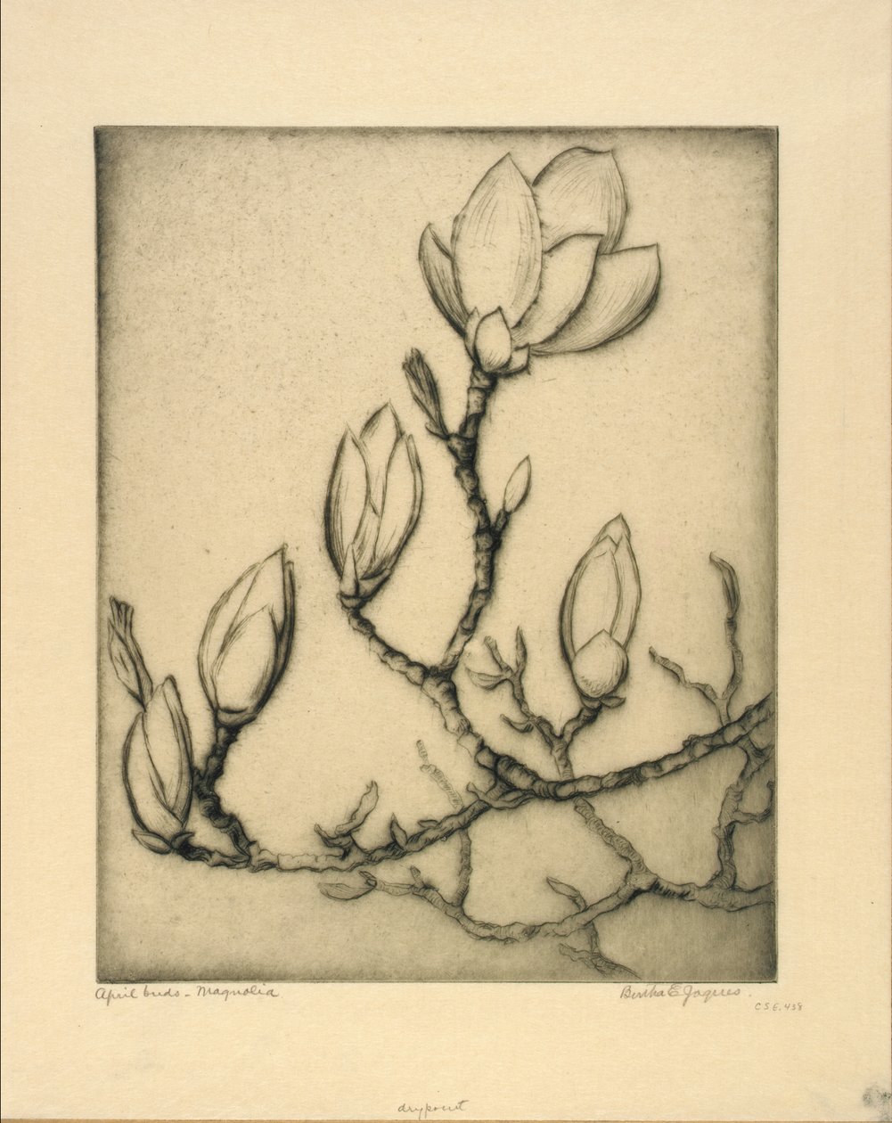Aprilknoppen--Magnolia door Bertha E. Jaques