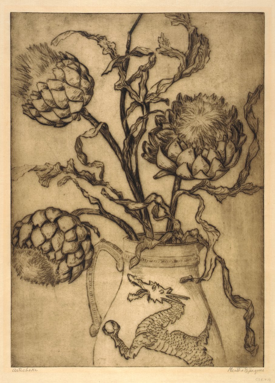 Artisjok door Bertha E. Jaques