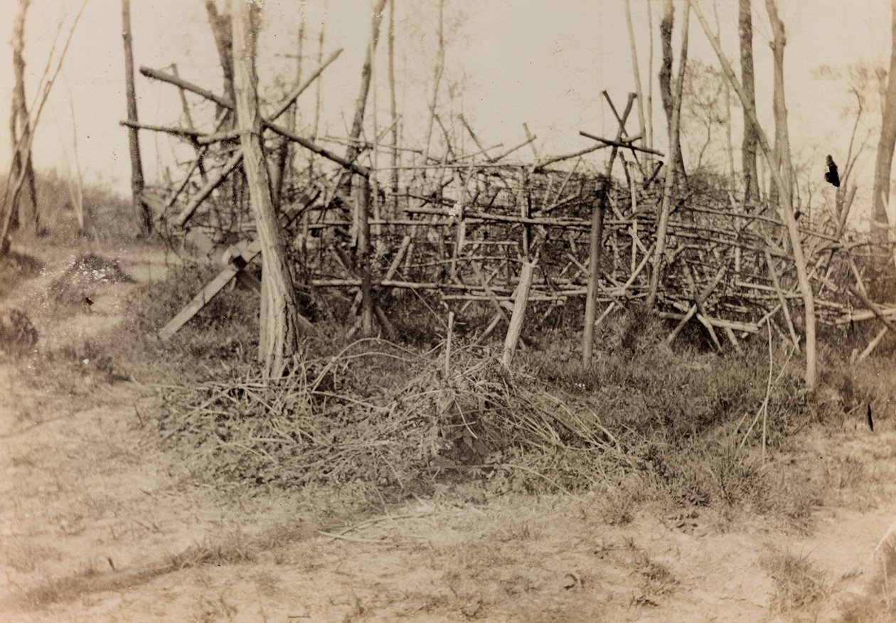 Album van de Eerste Wereldoorlog in Friuli-Venezia Giulia: defensieve hindernis (cavalli di Frisia), 05/1916 door Bertoni Bertoni